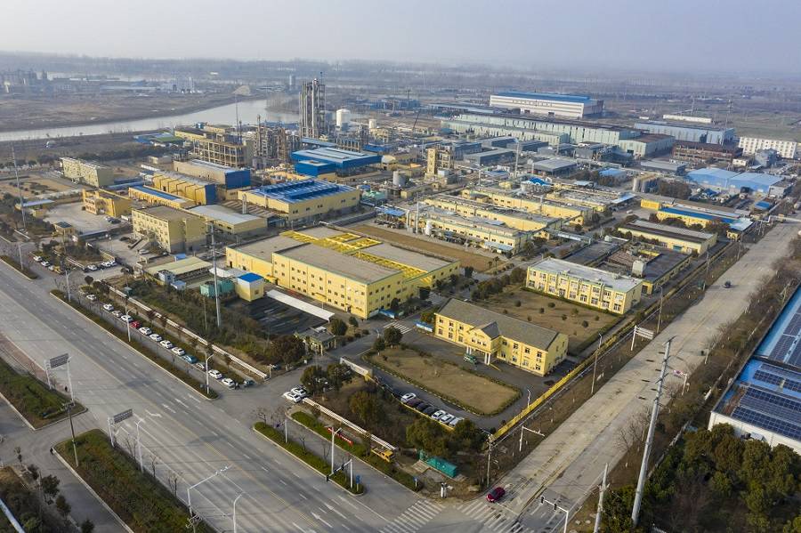 武汉伯庸会员管理服务有限公司药业首次公开发行股票并上市辅导备案信息公示
